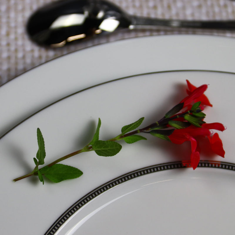 Degrenne plate with red  salvia and a spoon